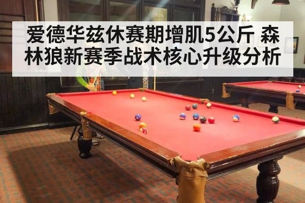 爱德华兹休赛期增肌5公斤 森林狼新赛季战术核心升级分析